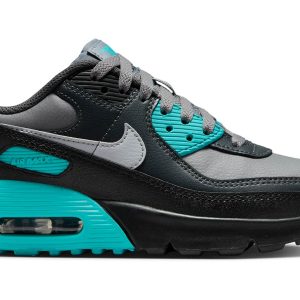 Nike Air Max 90 LTR Cool Grey Dusty Cactus Black Wolf Greyy(GS) | Fragment Clothing
